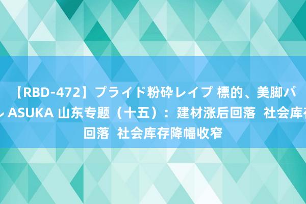 【RBD-472】プライド粉砕レイプ 標的、美脚パーツモデル ASUKA 山东专题（十五）：建材涨后回落  社会库存降幅收窄